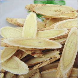 Astragalus Root Astragalus Root